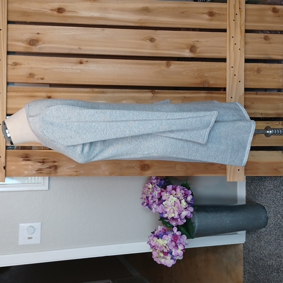 Michael Michael Kors Silver Dress - Picture 4 of 7